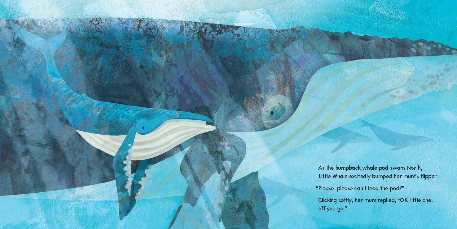 Can You Share, Little Whale?