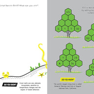 Planet Earth Puzzles (Brain Boosters)