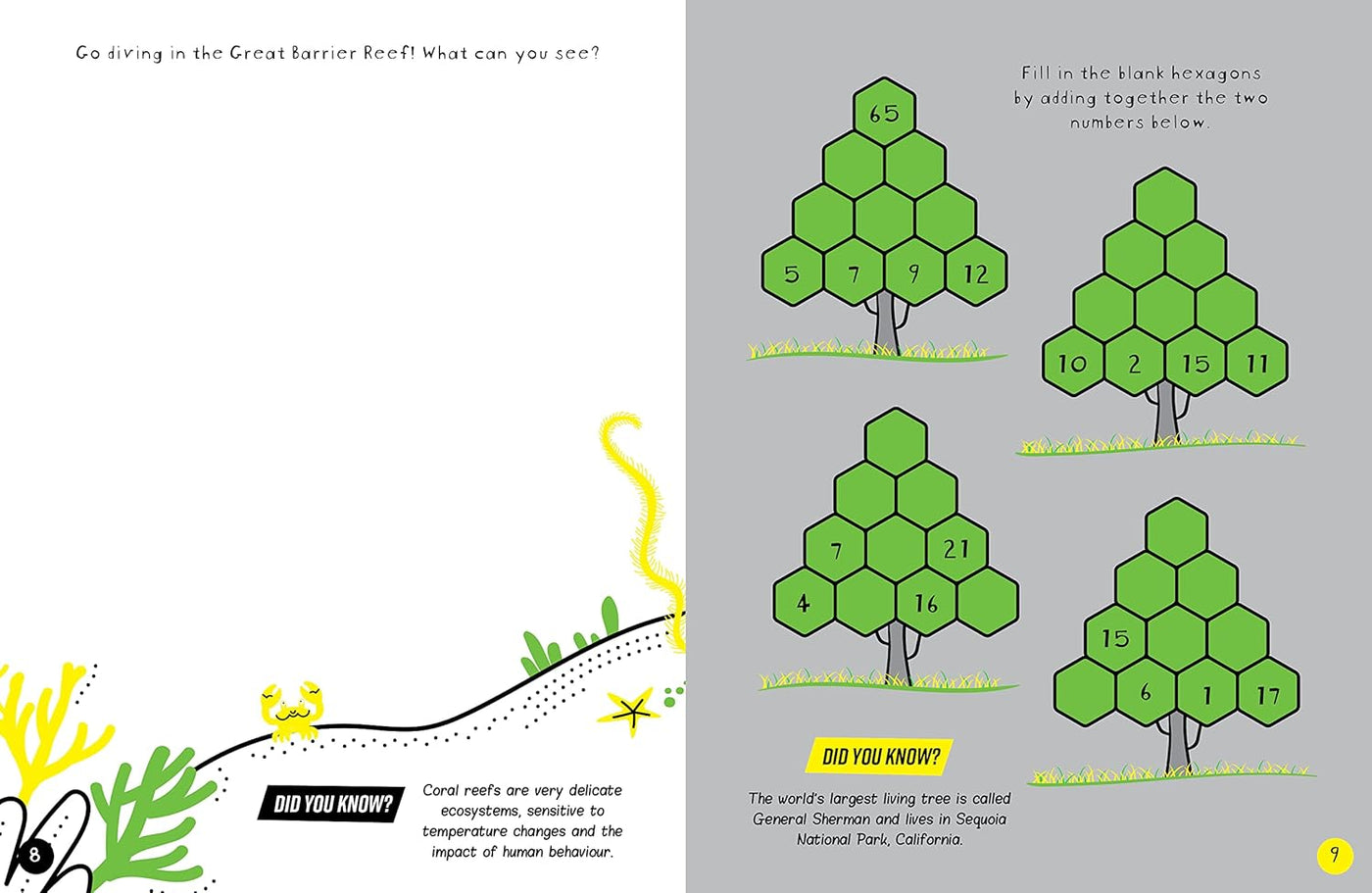 Planet Earth Puzzles (Brain Boosters)