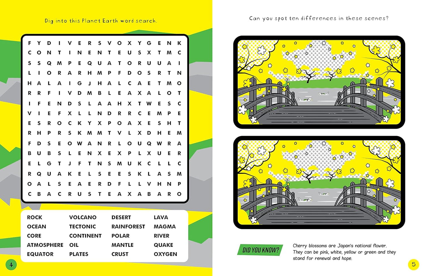 Planet Earth Puzzles (Brain Boosters)