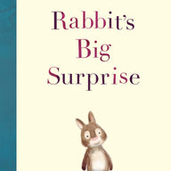 Little Rabbit's Big Surprise (Colour Fiction Hardback) 