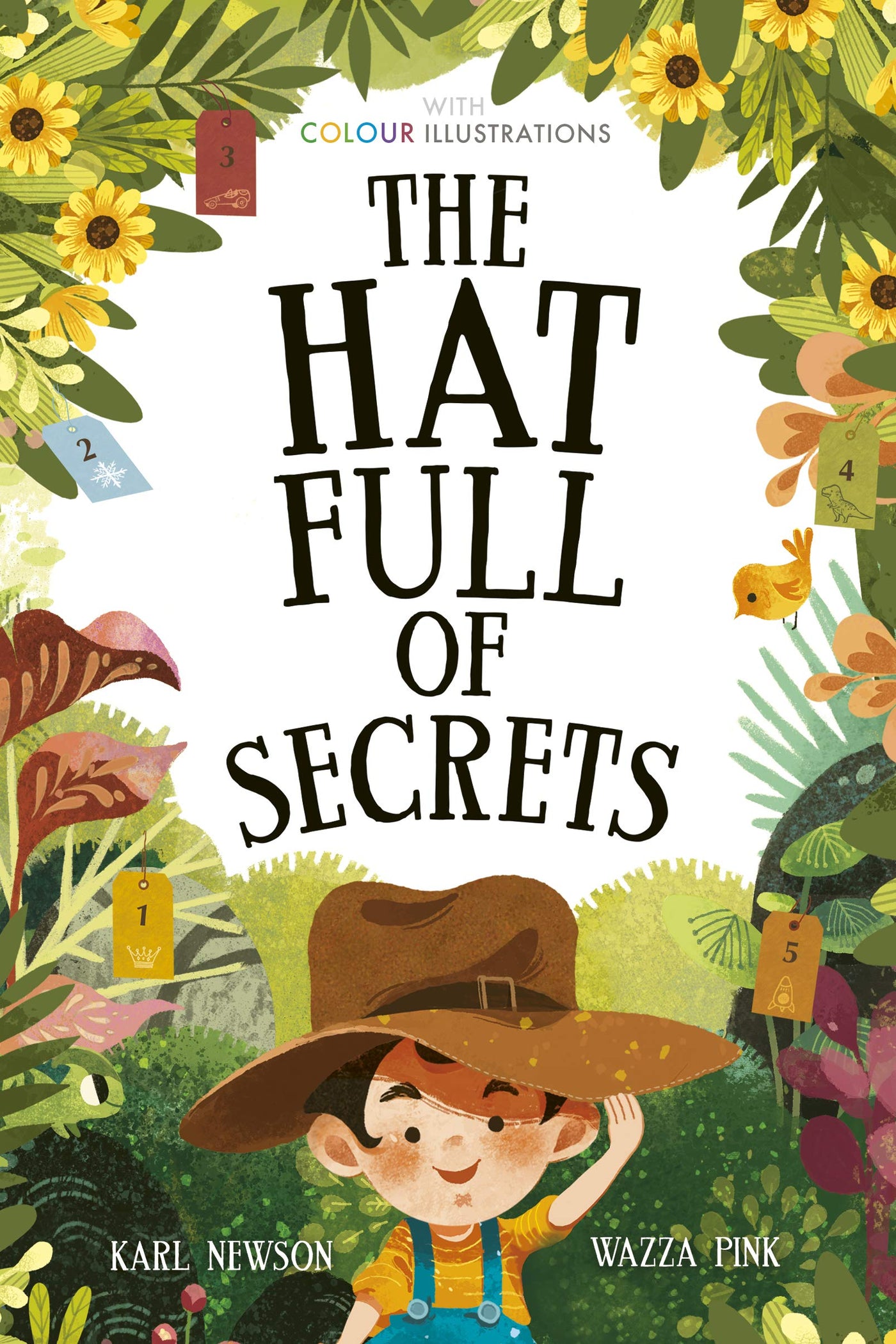 The Hat Full of Secrets (Colour Fiction Hardback)