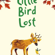 Little Bird Lost (Colour Fiction Hardback)