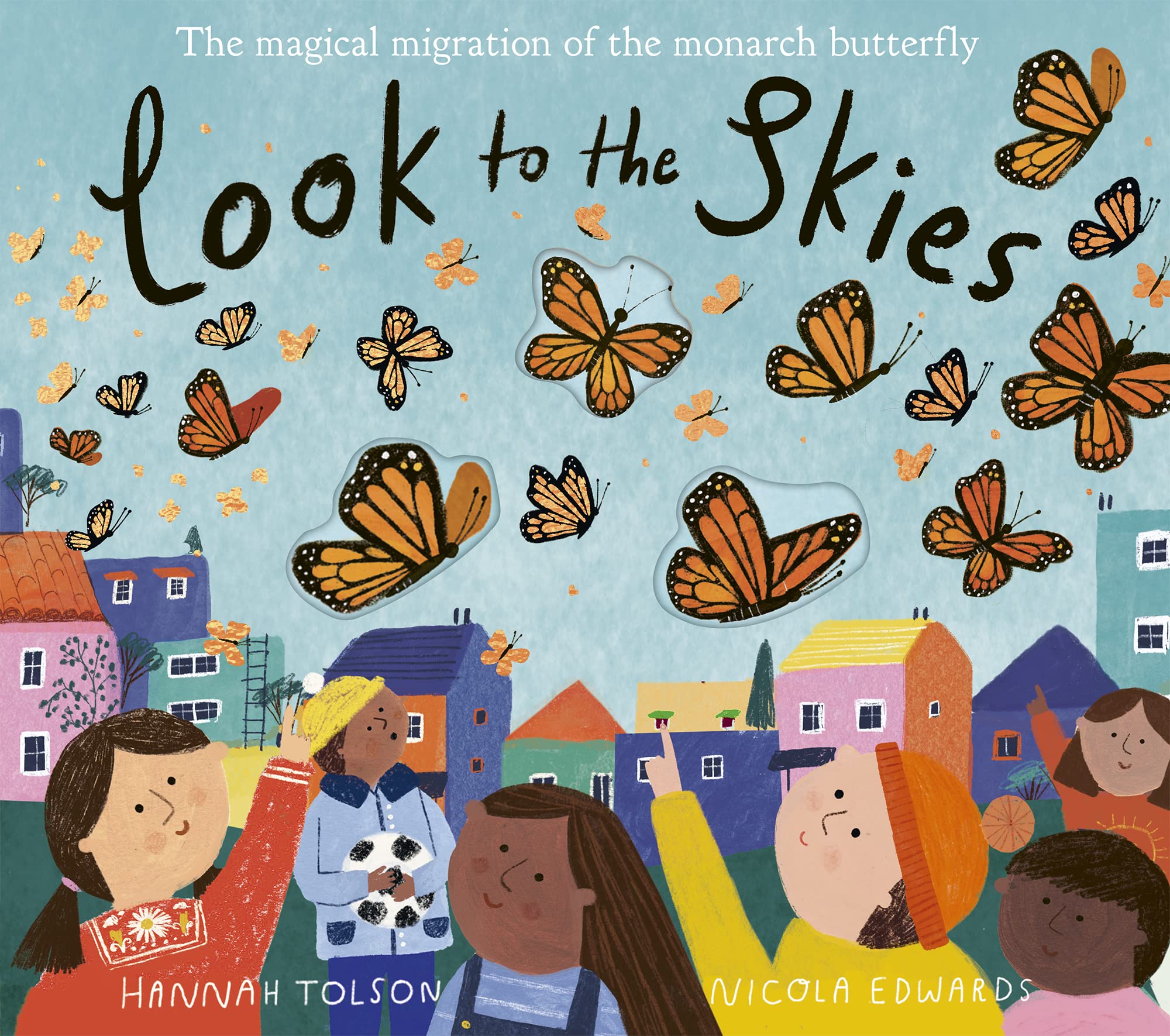 Look to the Skies (Paperback)