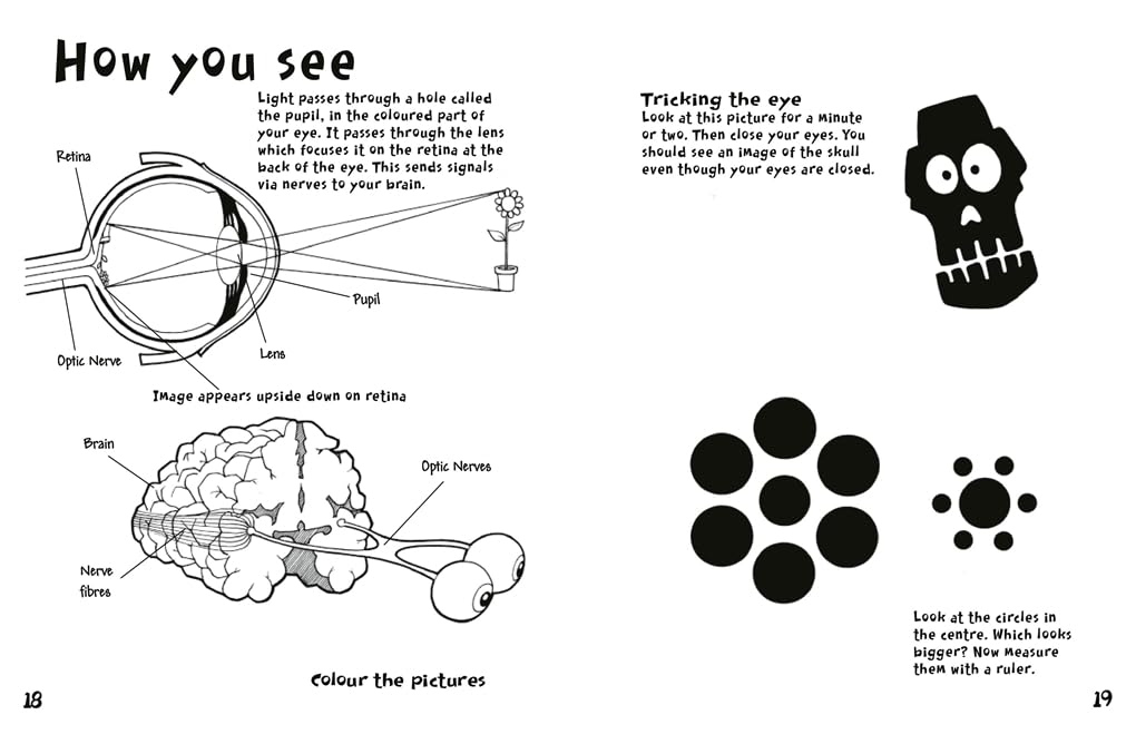 Boredom Buster: A Puzzle Activity Book of the Human Body