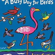 A Busy Day for Birds