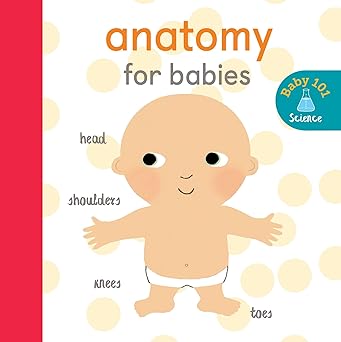 Anatomy for Babies (Board Book)