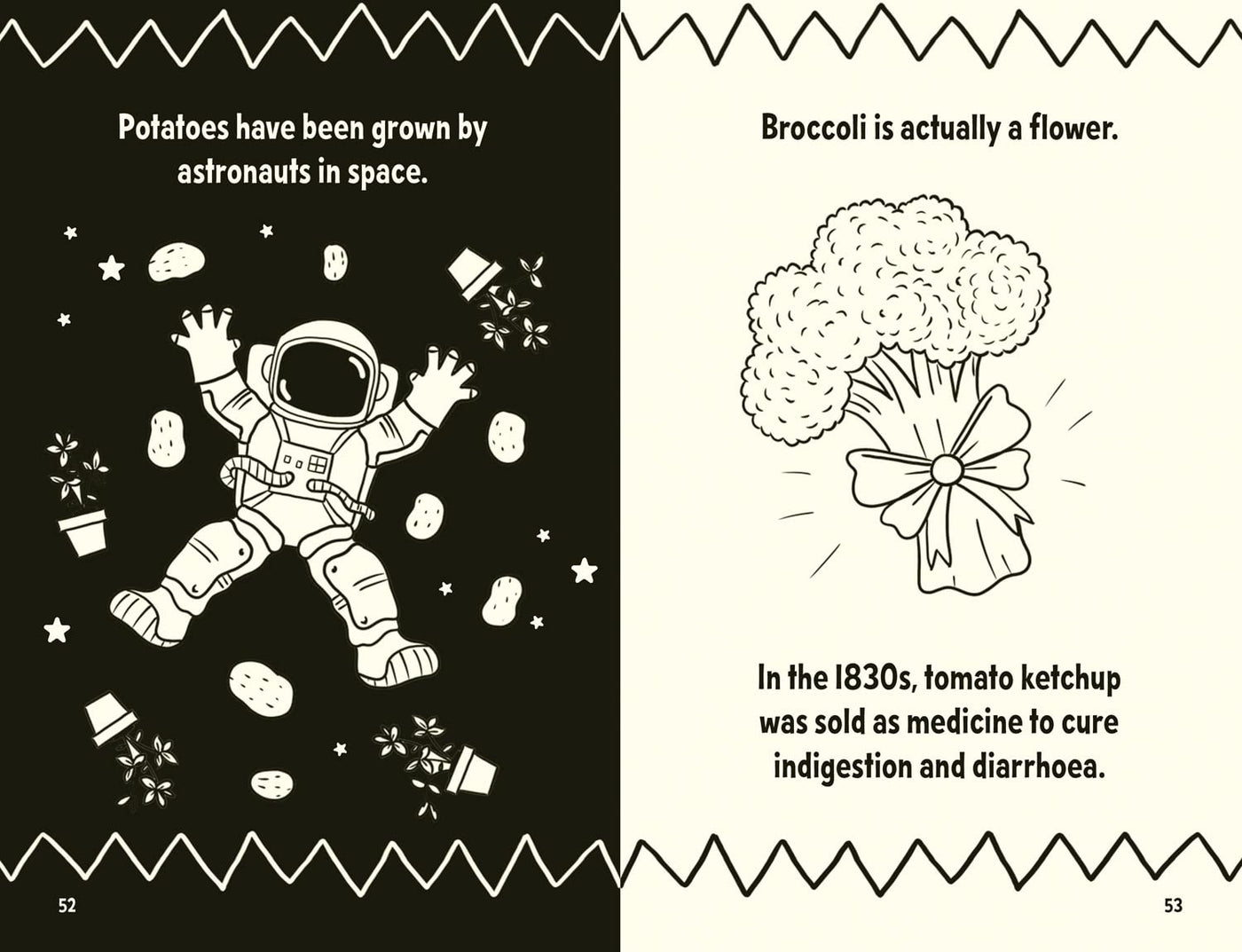 Amazing Facts Every Kid Needs to Know