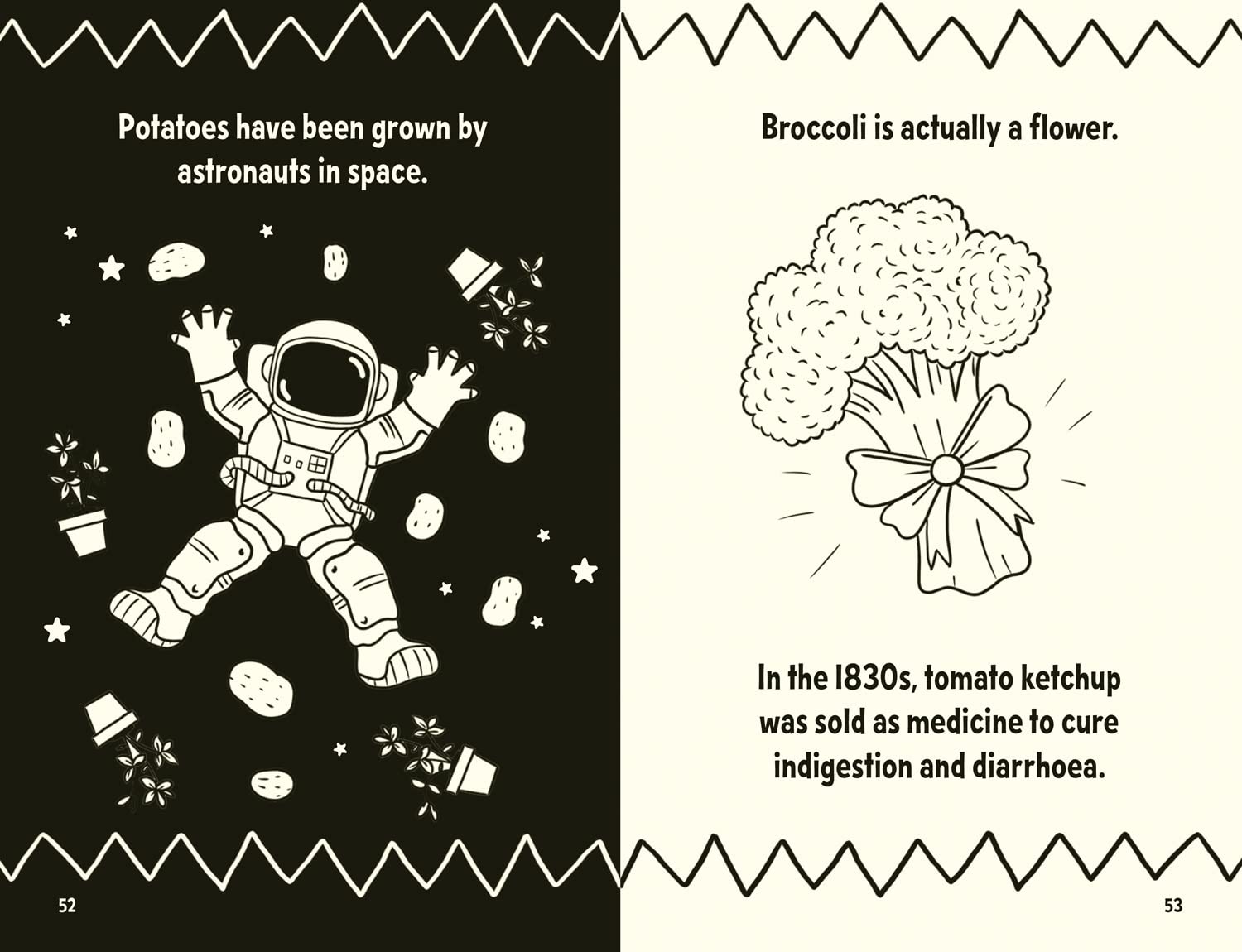 Amazing Facts Every Kid Needs to Know