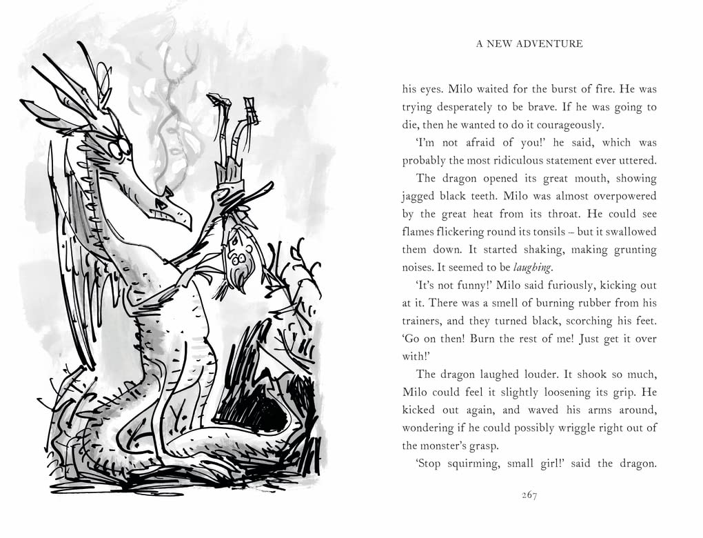 A New Adventure (The Magic Faraway Tree)