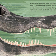 Lifesize Deadly Animals