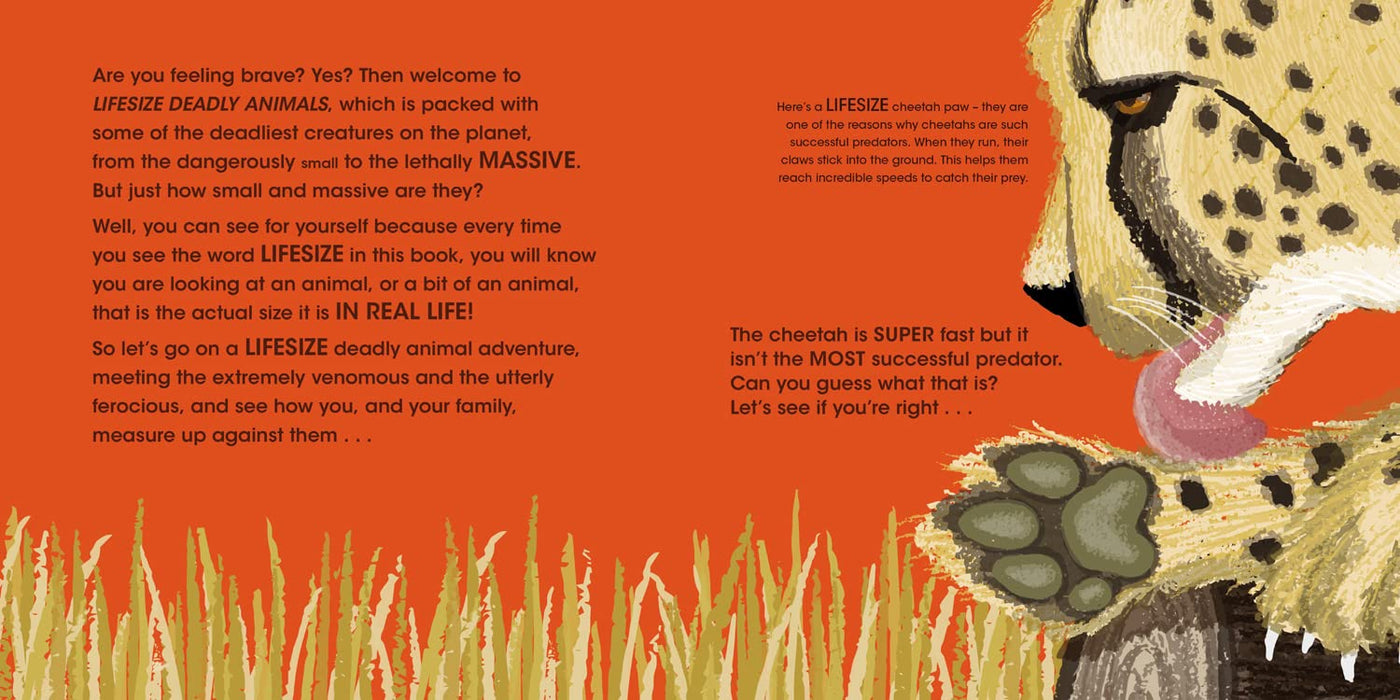 Lifesize Deadly Animals