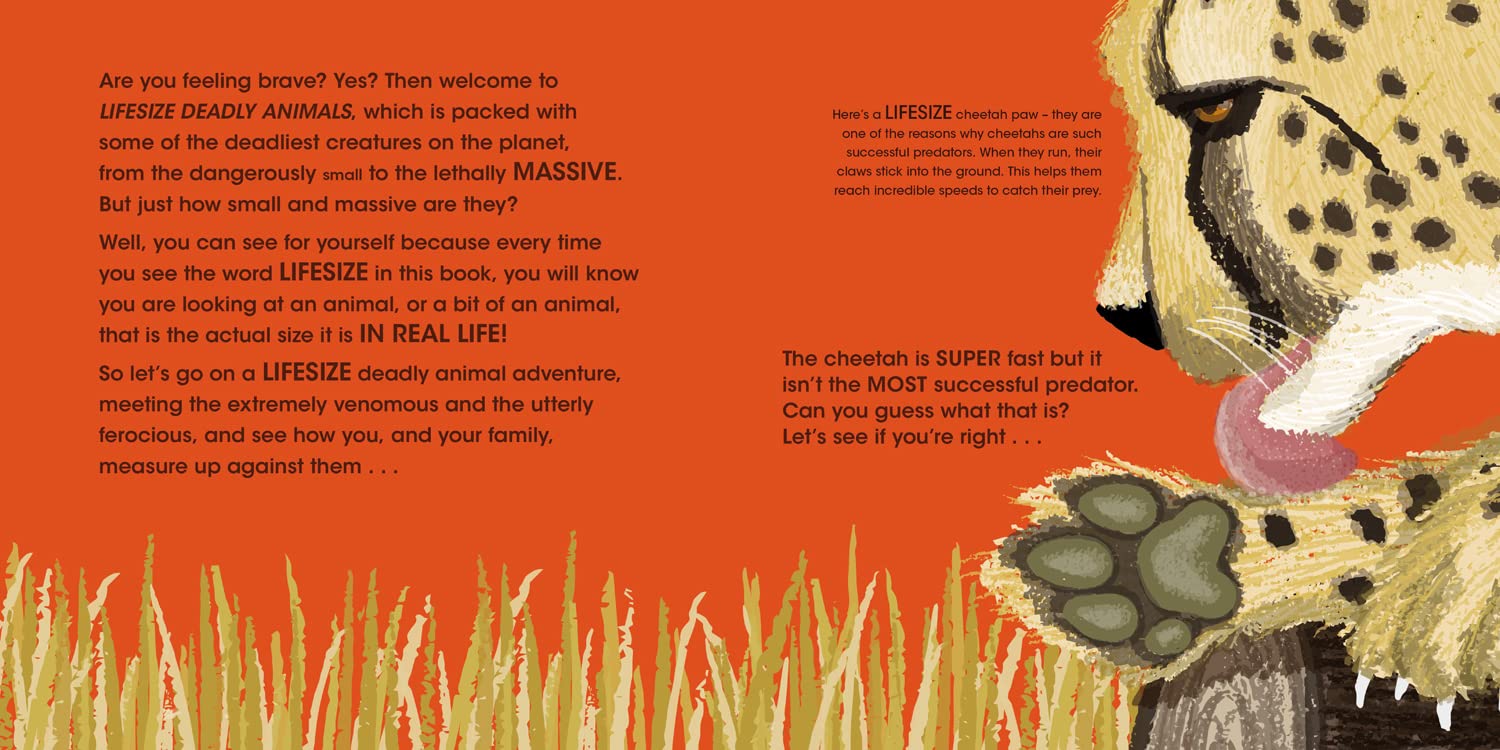 Lifesize Deadly Animals