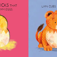 Lions Lay Eggs! (Board Book)