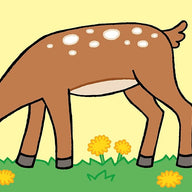 That's not my deer... (Board Book)