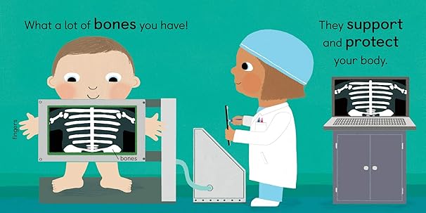 Anatomy for Babies (Board Book)