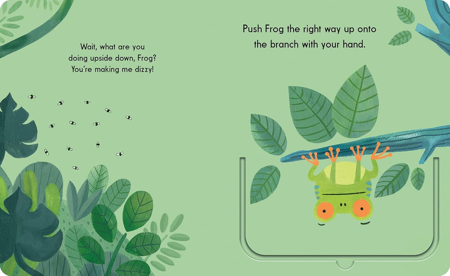 This Is Frog (Boardbook)