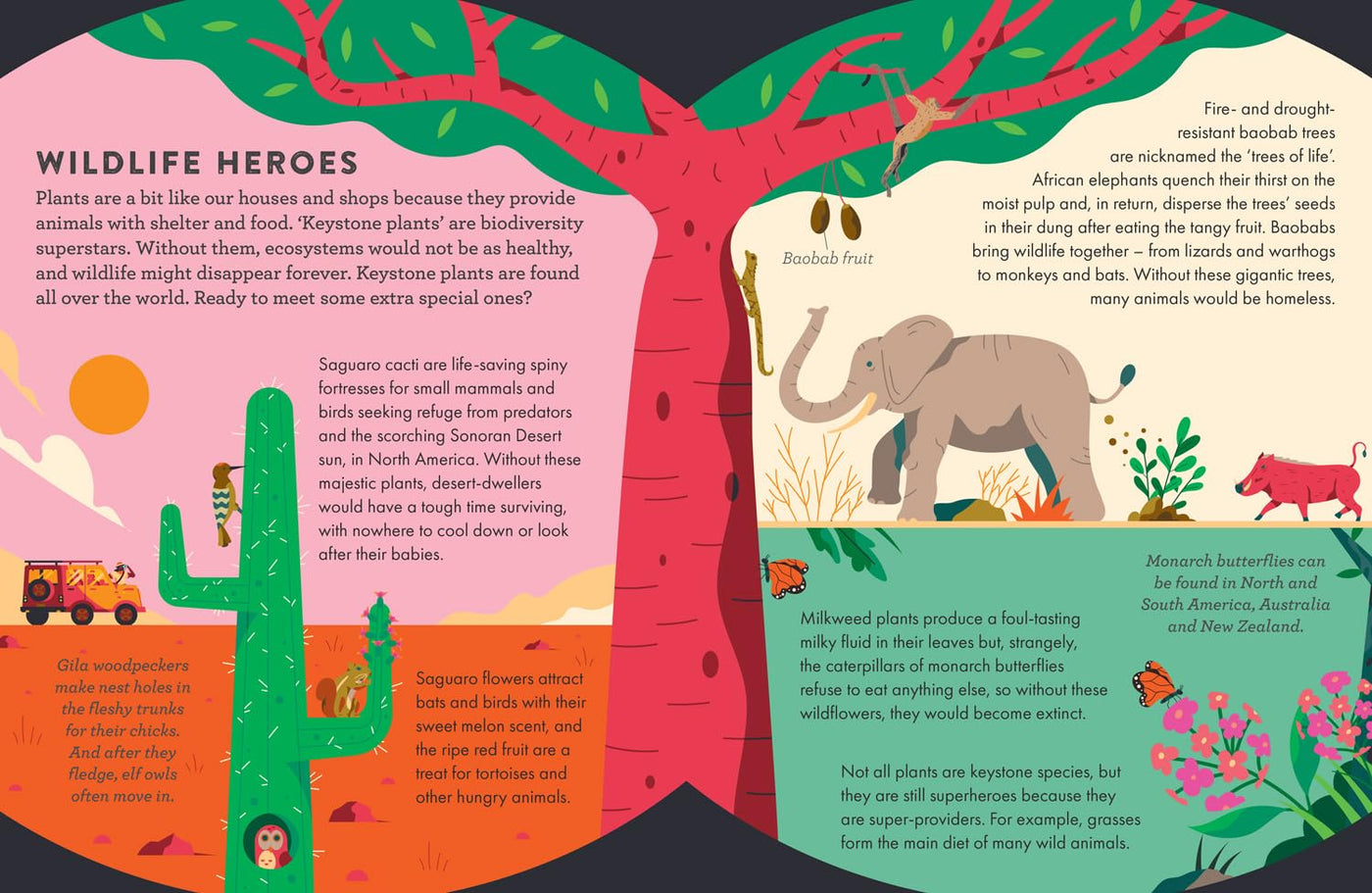 Superhero Plants (Hardback)