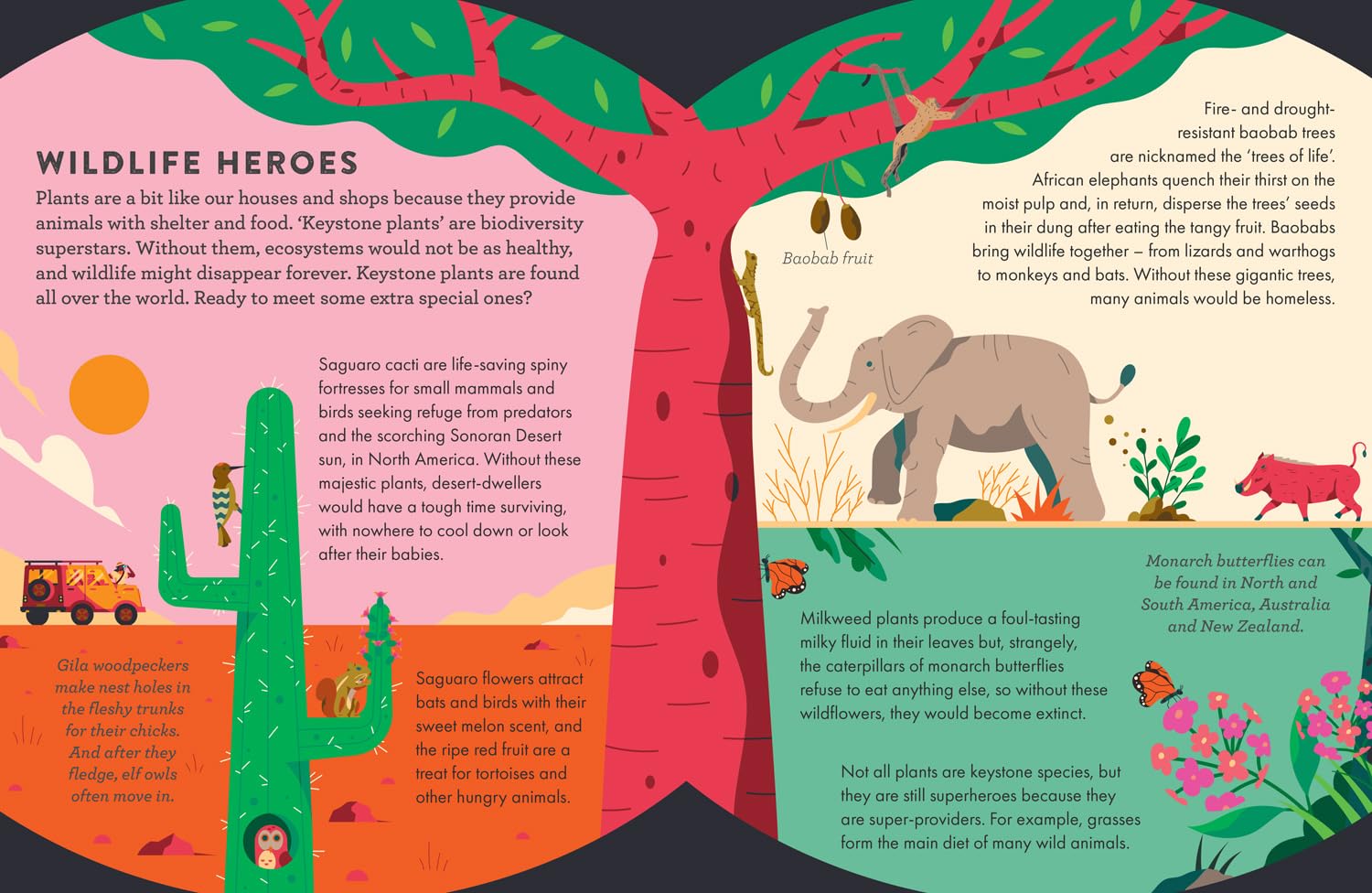 Superhero Plants (Hardback)