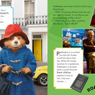 Paddington in Peru