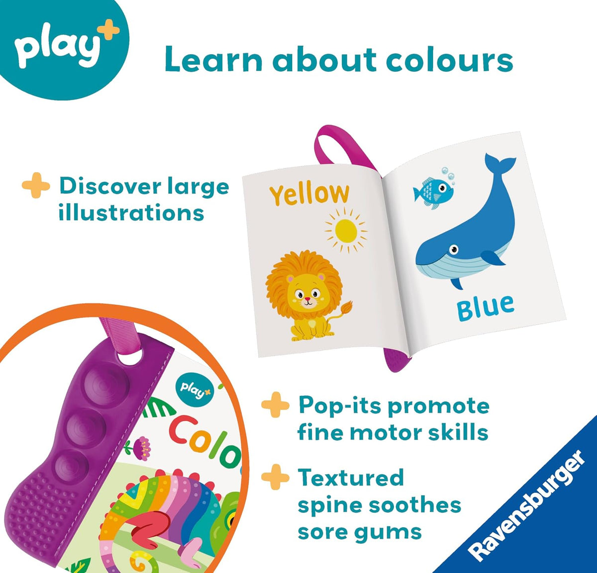 Colours Sensory Book