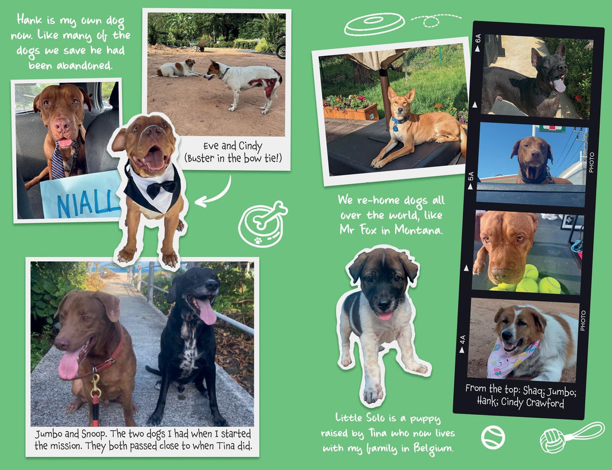 Tina: The Dog Who Changed the World (Children’s edition)