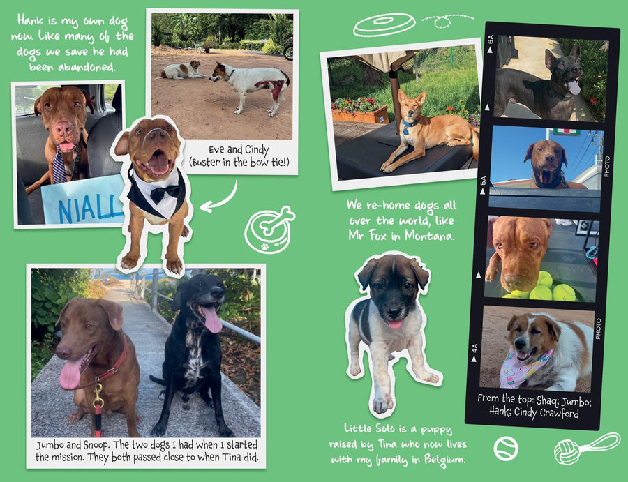 Tina: The Dog Who Changed the World (Children’s edition)