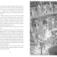 Chronicles of Whetherwhy (Hardback)