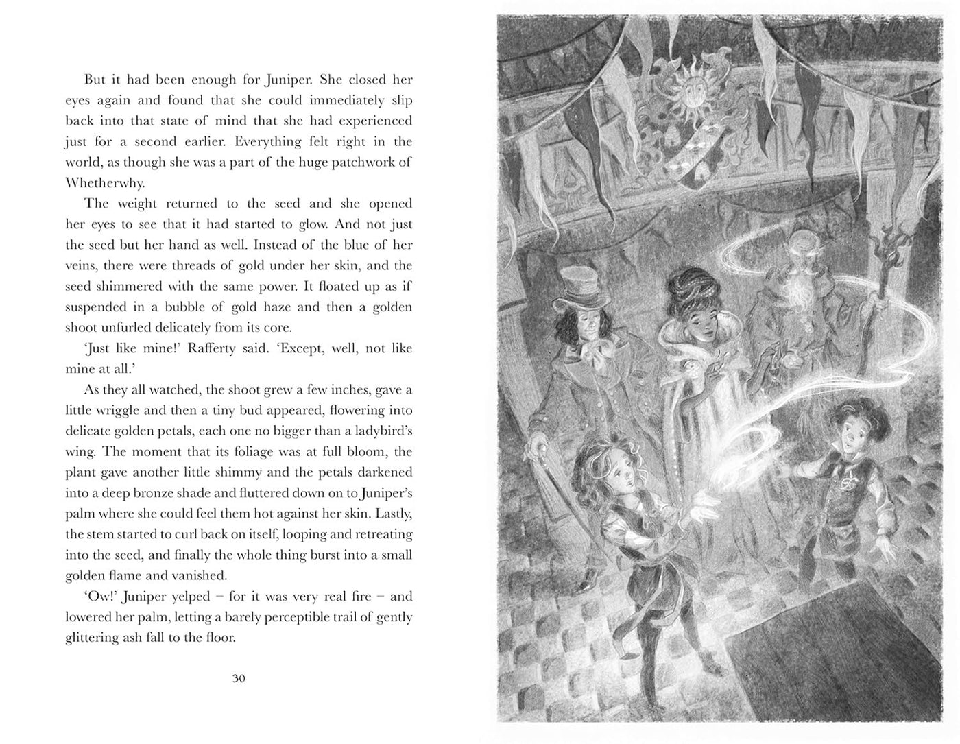 Chronicles of Whetherwhy (Hardback)
