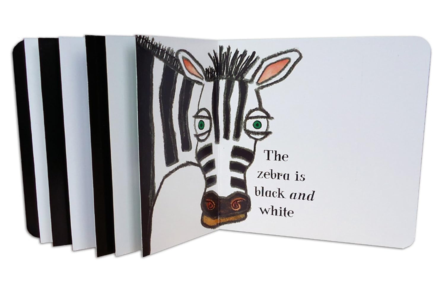 What Is Black and White? (Board Book)