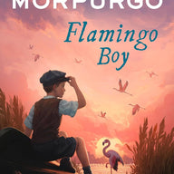 Flamingo Boy