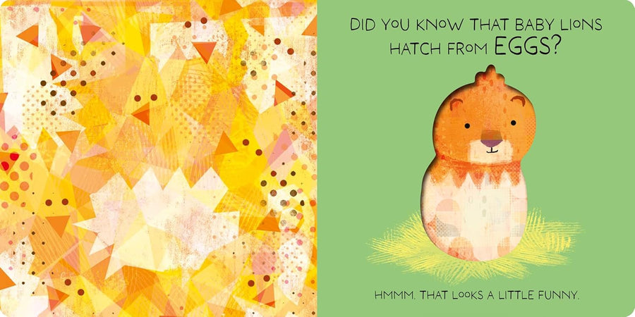 Lions Lay Eggs! (Board Book)