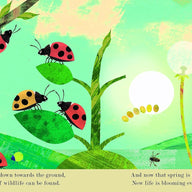 Bugs - Peek-through Nature (Hardback)