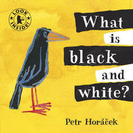 What Is Black and White? (Board Book)