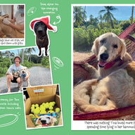 Tina: The Dog Who Changed the World (Children’s edition)