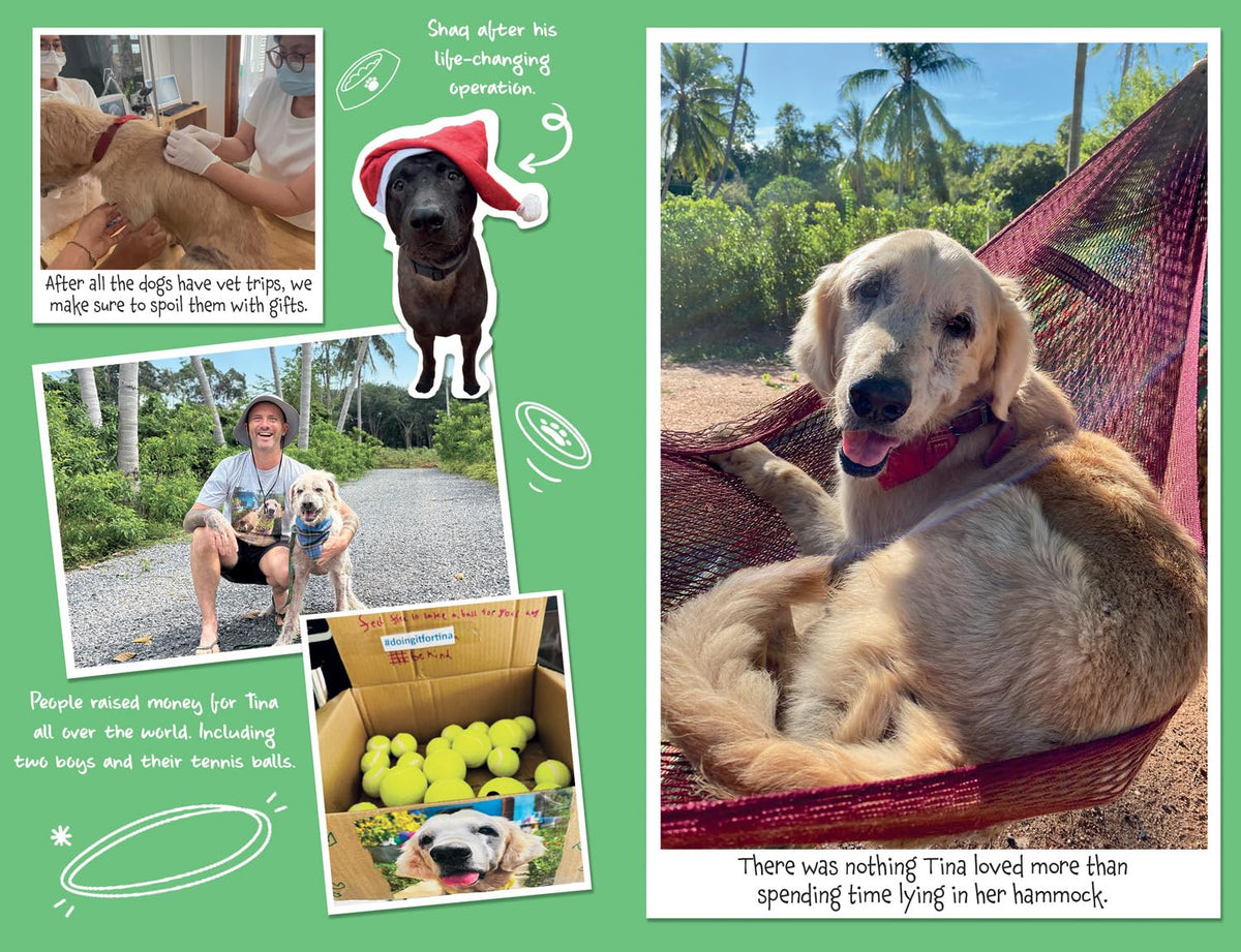 Tina: The Dog Who Changed the World (Children’s edition)