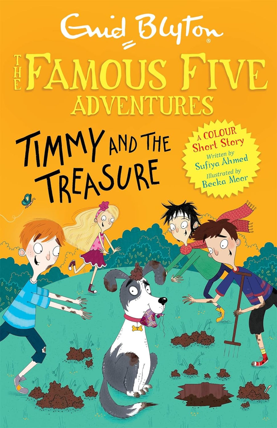 Timmy and the Treasure (Famous Five: Short Stories)