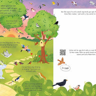 Calming Nature Activity Book (Unworry)