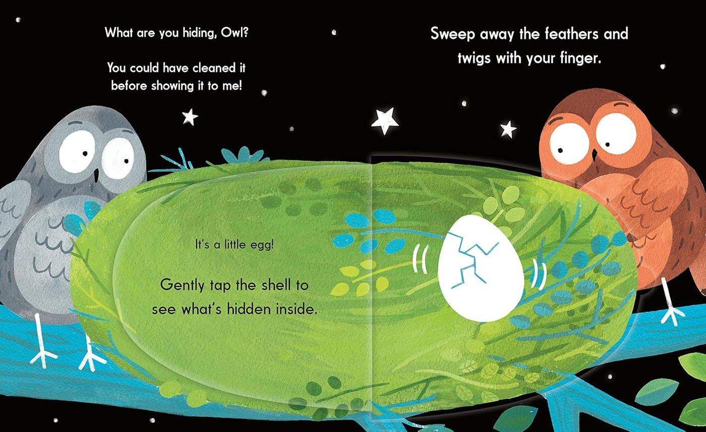 This is Owl: A Flapping, Tapping, Clapping Interactive Book