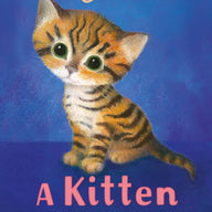 A Kitten Called Tiger