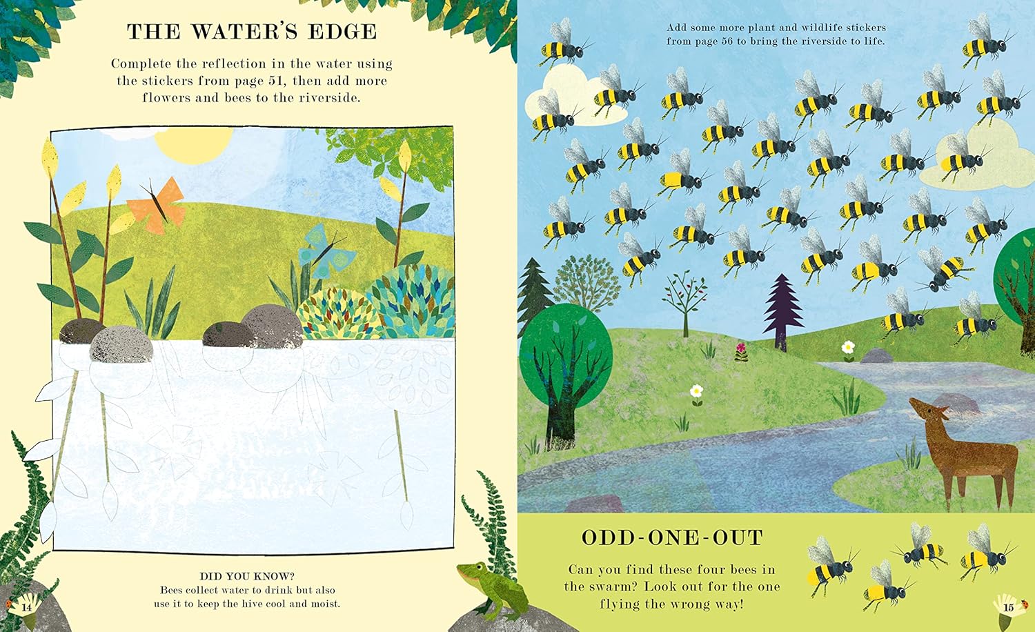 Bee: Activity Book