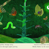 Bugs - Peek-through Nature (Hardback)