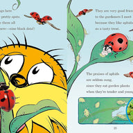 Hug a Bug: How You Can Help Protect Insects