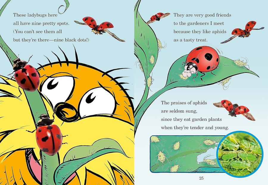 Hug a Bug: How You Can Help Protect Insects
