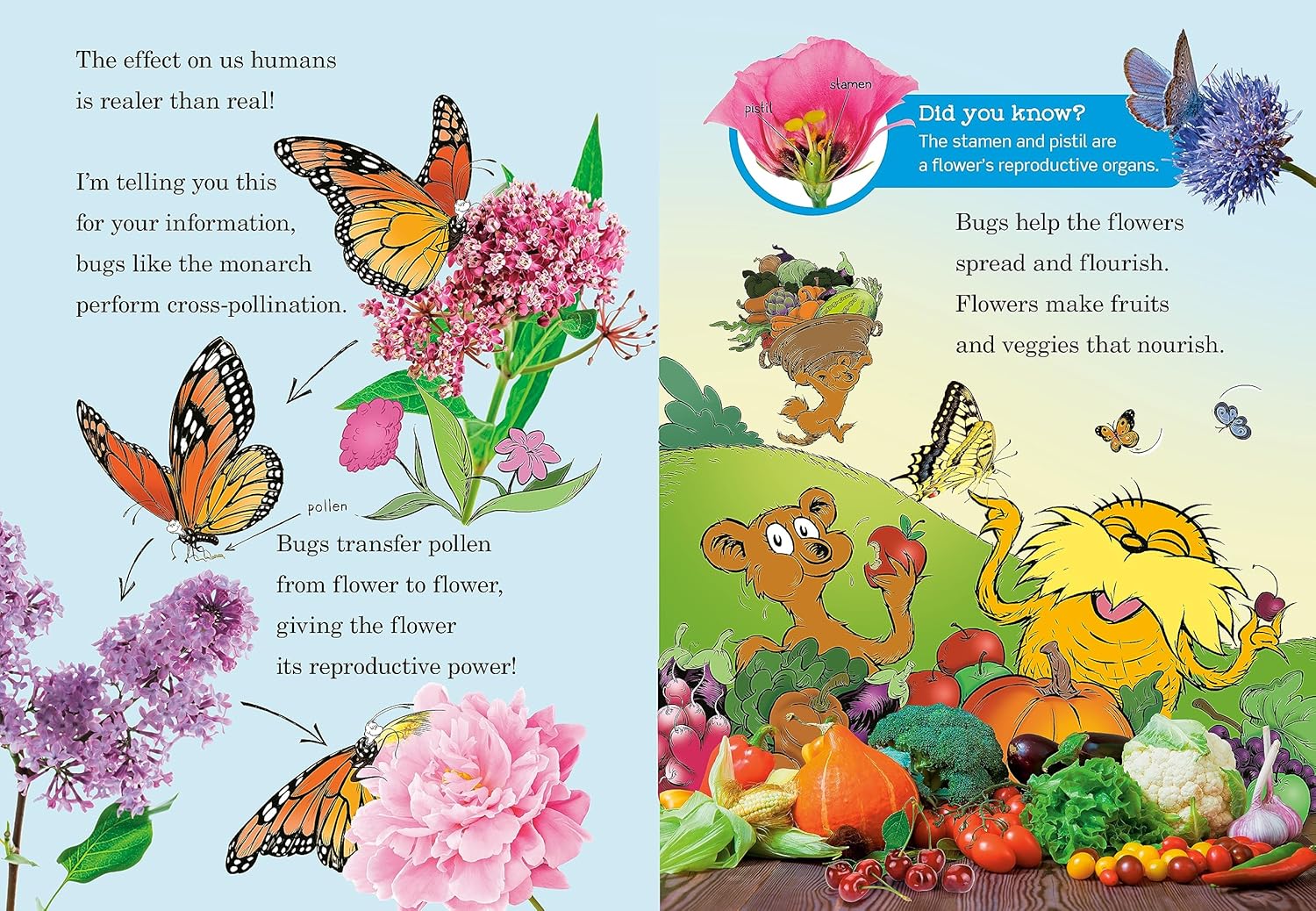 Hug a Bug: How You Can Help Protect Insects