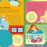 How Families Are Made: Little Experts (Hardback)