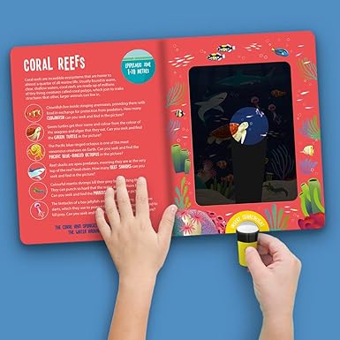 Seek and Find Ocean Animals (Seek and Find-Magic Searchlight Books)