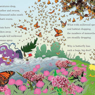 Hug a Bug: How You Can Help Protect Insects