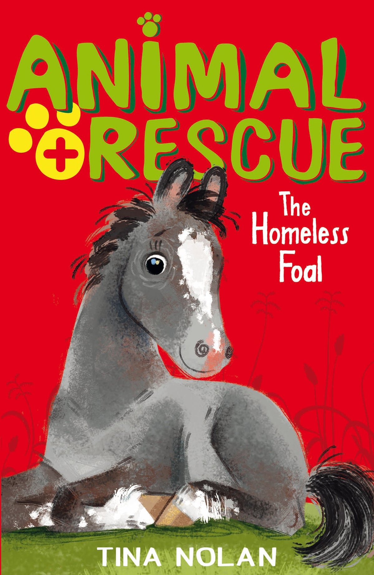 The Homeless Foal (Animal Rescue) 