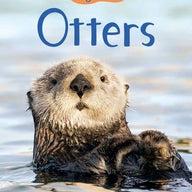 Otters (Usborne Beginners) 